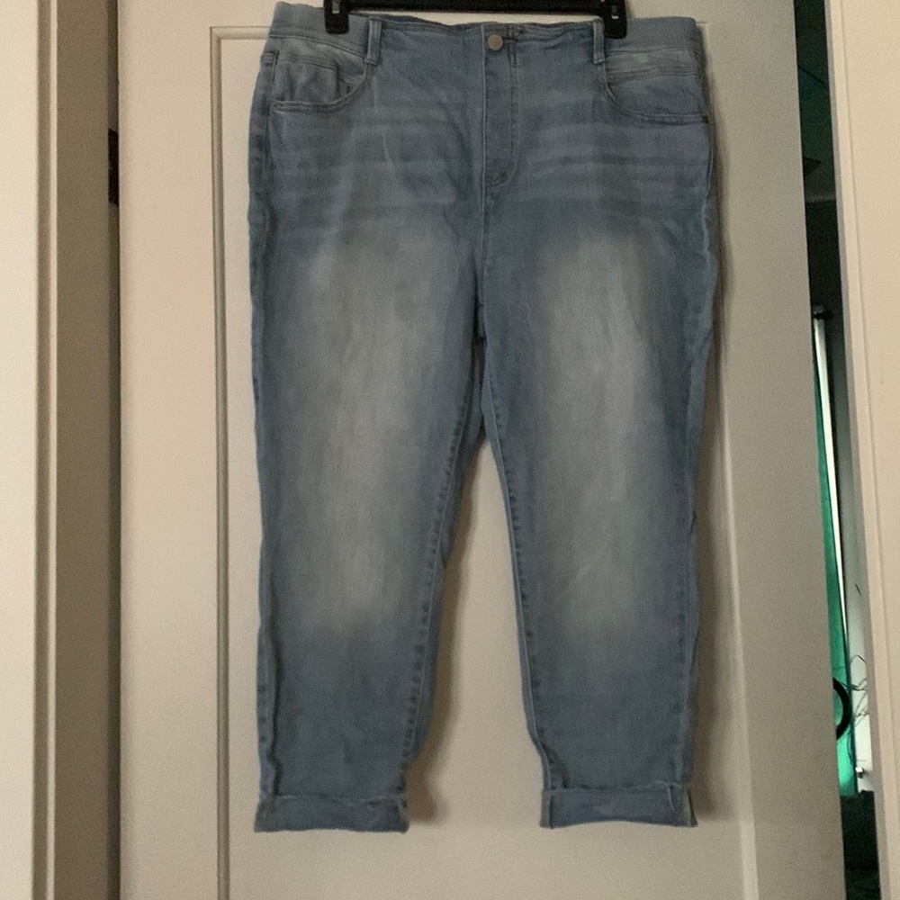 Terra & Sky 1x(16W-18W) Ankle Cropped Jeans